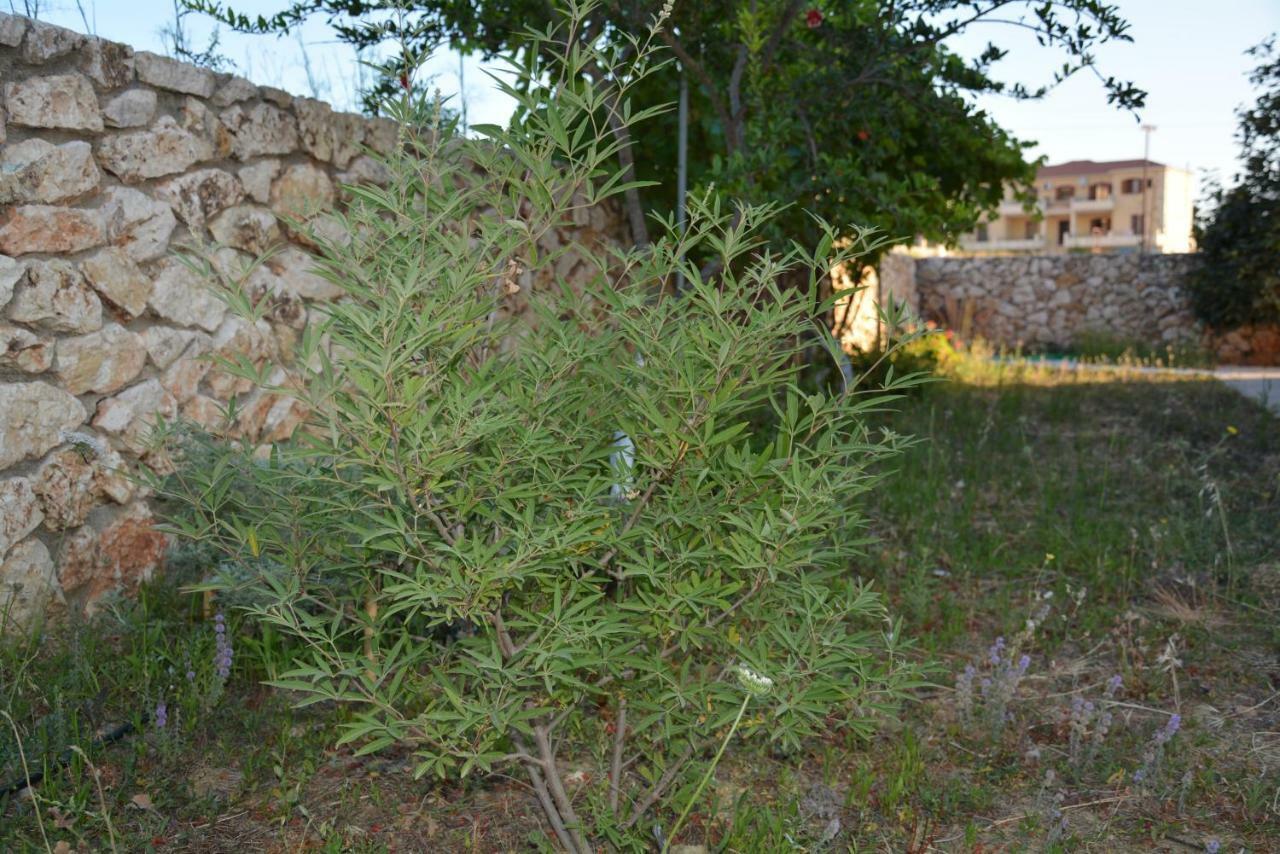 Lotus Sea View Studio Apartment 2 Lixouri Exterior photo